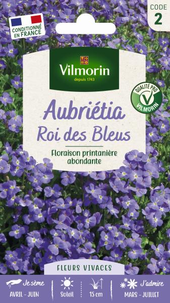 Fleurs - Aubriétia Roi des Bleus - PACKAGING_RECTO
